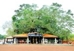 Oachira Parabrahma Temple
