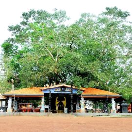 Home Oachira Parabrahma Temple